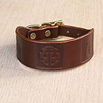 Boxed Bugs Leather Buckle Collar (1.5 inch wide)