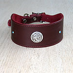 Celtic Conchos Leather Buckle Collar (2 inch wide)