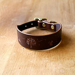 Buckle Collar Autumn Woodland