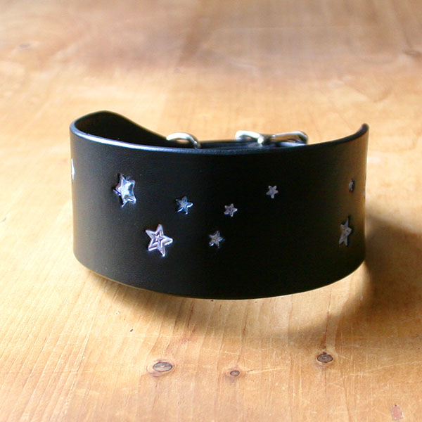 Shimmering Galaxy Stars Buckle Collar (2 inch wide)