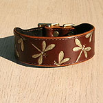 Buckle Collar Iridescent Dragonfly