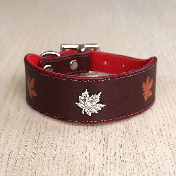 Maple Concho Leather Buckle Collar (1.5 inch wide)