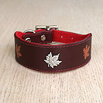 Buckle Collar Maple Concho