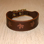 Painted Maple Leaves Leather Buckle Collar (1.5 inch wide)