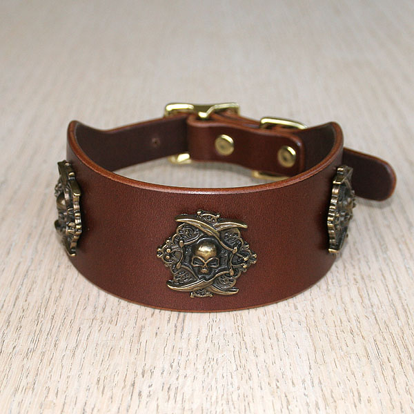 Pirate Conchos buckle collar (2 inch wide)