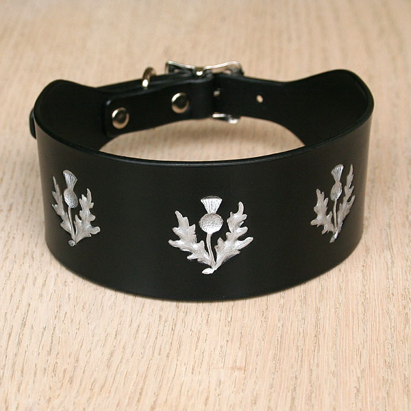 Painted Thistles Leather Buckle Collar (2 inch wide)