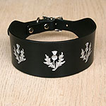Painted Thistles Leather Buckle Collar (2 inch wide)