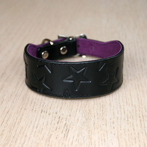 Stars buckle collar (2 inch wide)