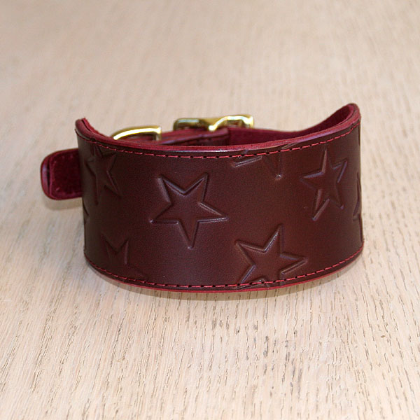 Stars Leather Buckle Collar (2 inch wide)