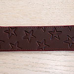 Stars Leather Buckle Collar (2 inch wide)