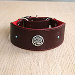 Celtic & Conchos Martingale Collar (2 inch wide)