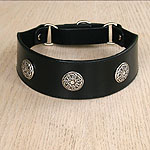 Conchos Leather Martingale Collar (2 inch wide)