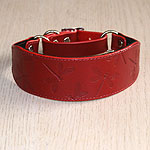 Dragonflies Leather Martingale Collar