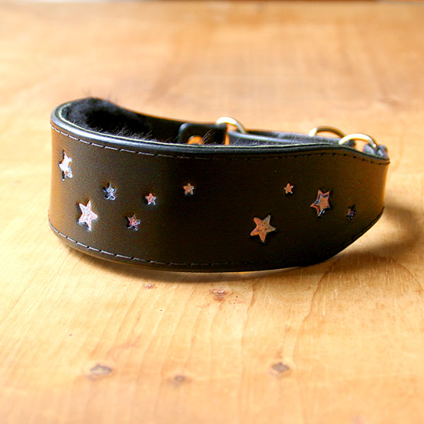 Shimmering Galaxy Stars Leather Martingale Collar (1.75 inch wide)