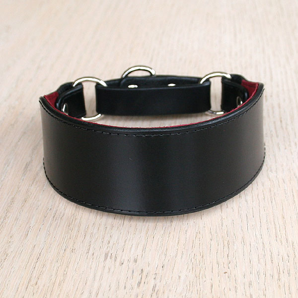 Martingale Collar