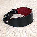 Martingale Collar