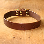 Dragonfly Straight Collar