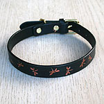 Iridescent Dragonfly Leather Straight Collar (¾ inch wide)