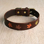 Autumn Maple Straight Collar