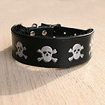 Painted Skulls Leather Buckle Collar (1.5 inch wide)