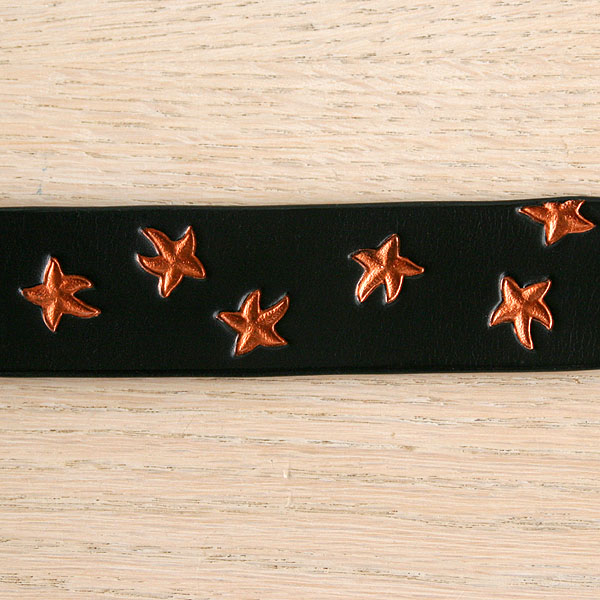 RTB Painted Starfish