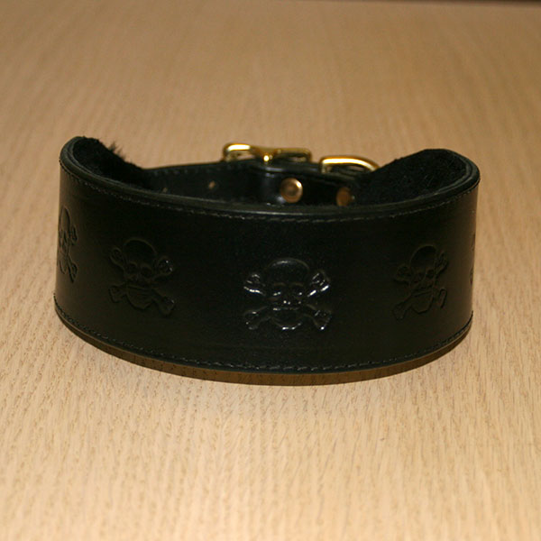 RTB Skulls Buckle Collar (2 inch wide)