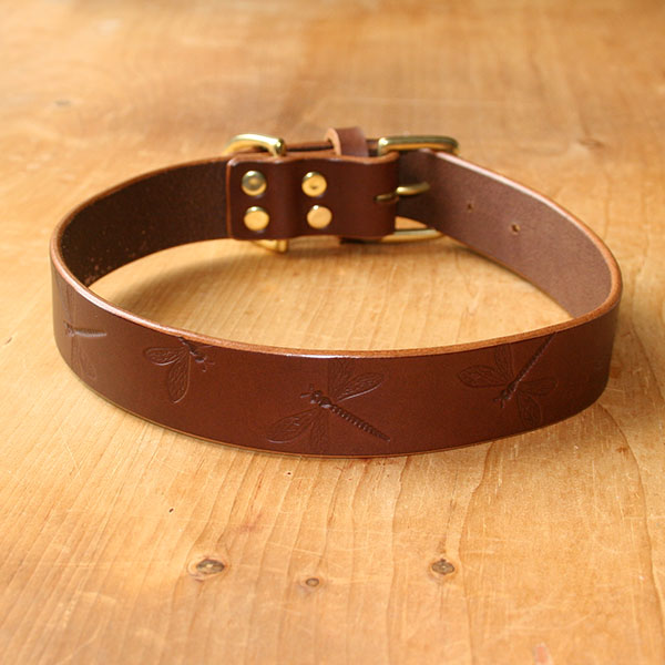 Dragonfly Collar